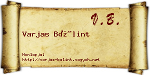 Varjas Bálint névjegykártya